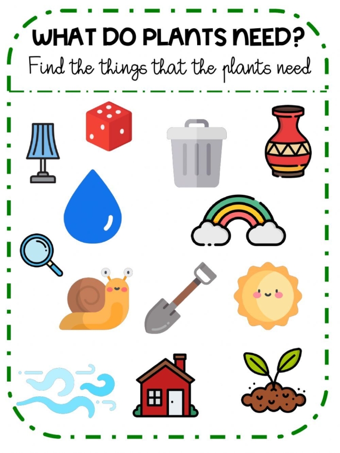 What Do Plants Need educational activity for young learners image 15 First grade science worksheet showing plants with items needed for growth like water, soil, and sunlight