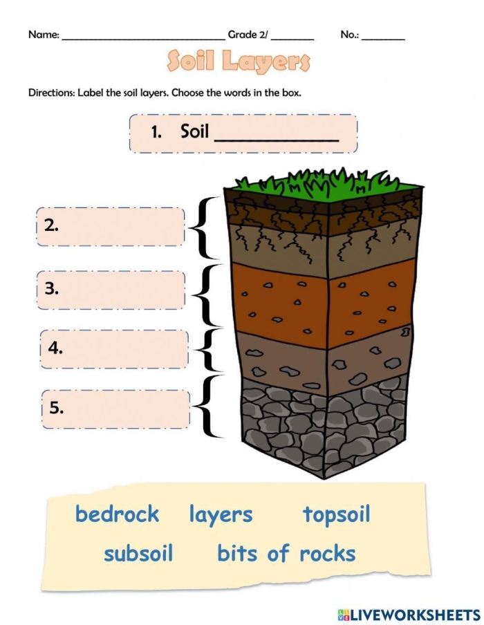 Second grade science worksheet about the components and formation of soil