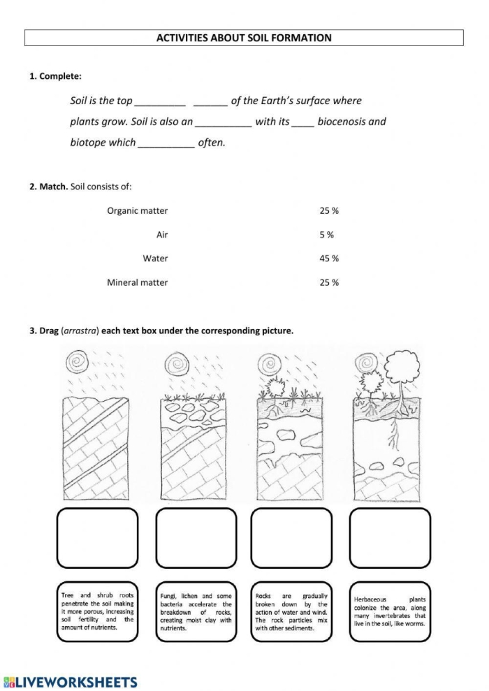 A second grade worksheet titled What is Soil that helps students explore earth science and reading comprehension.