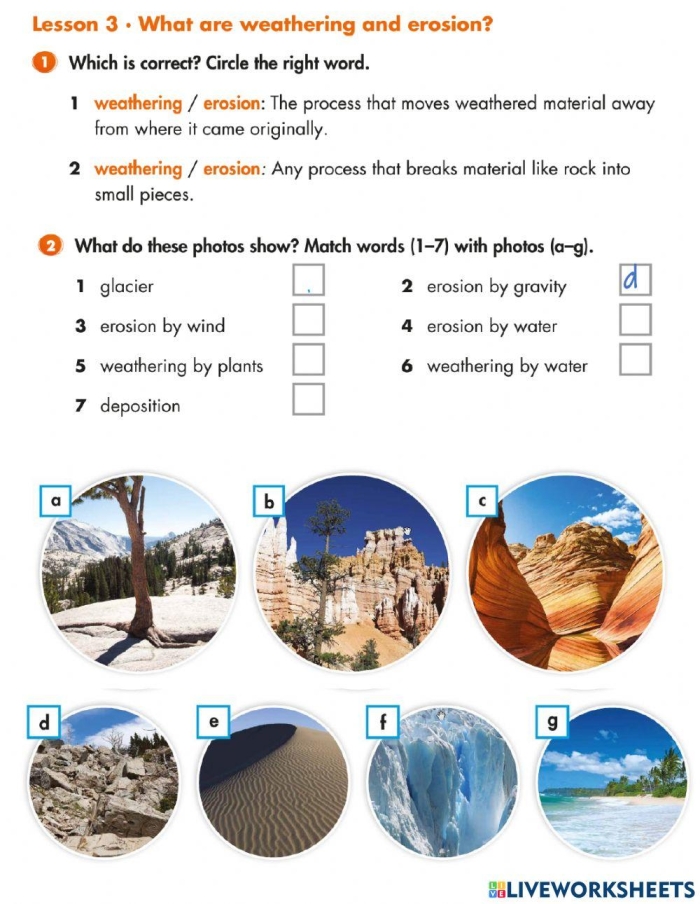 What is Weathering and Erosion? worksheet for Third Grade