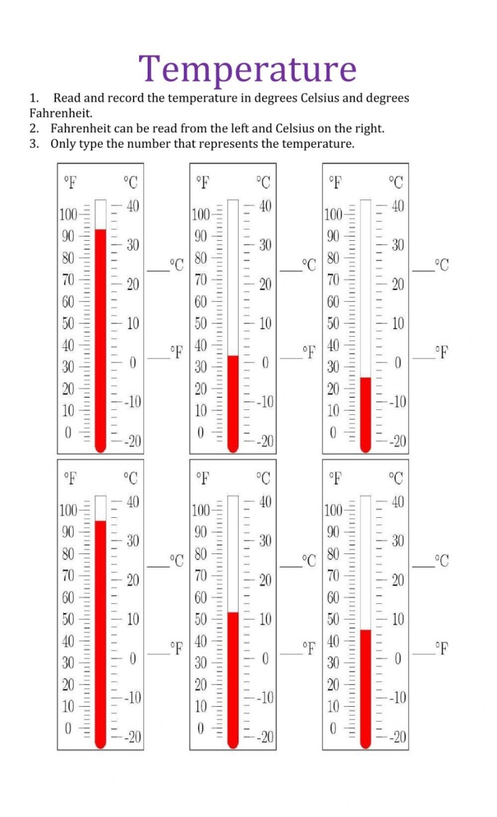 Engaging first grade worksheet on measuring temperature Kids reading a thermometer to determine the temperature on the What's the Temperature? worksheet
