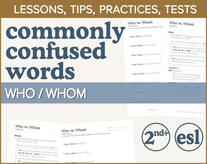 Sixth grade grammar worksheet focusing on the correct usage of who and whom in sentences