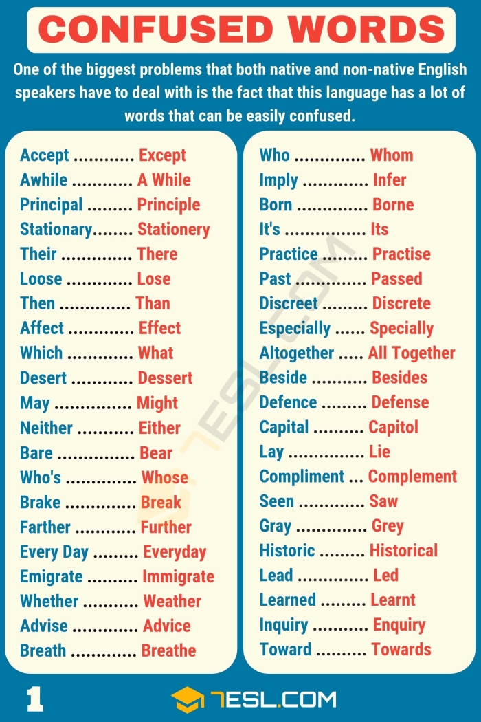 Sixth grade grammar worksheet showing who versus whom practice exercises with sentence examples