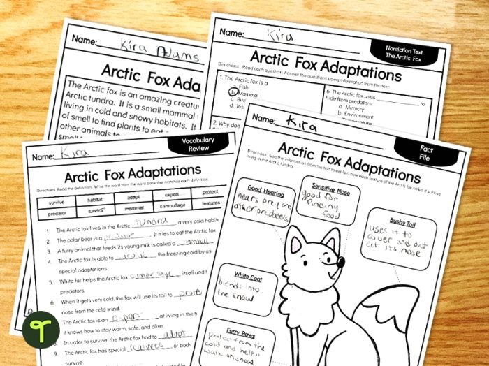 Worksheet illustrating nonfiction text features related to the Winter Olympics for third graders