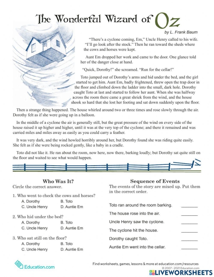 Fifth grade reading comprehension worksheet featuring a Wizard of Oz theme for math practice