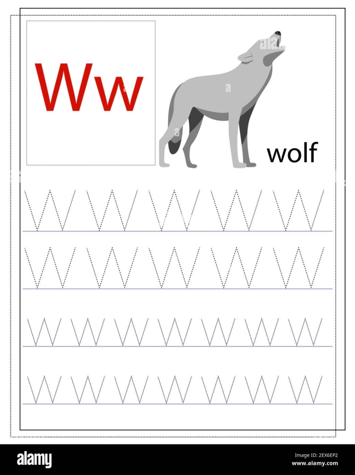 Image of a wolf in Yellowstone National Park, showcasing its natural habitat and behavior. Educational worksheet for third graders about wolves and their history.