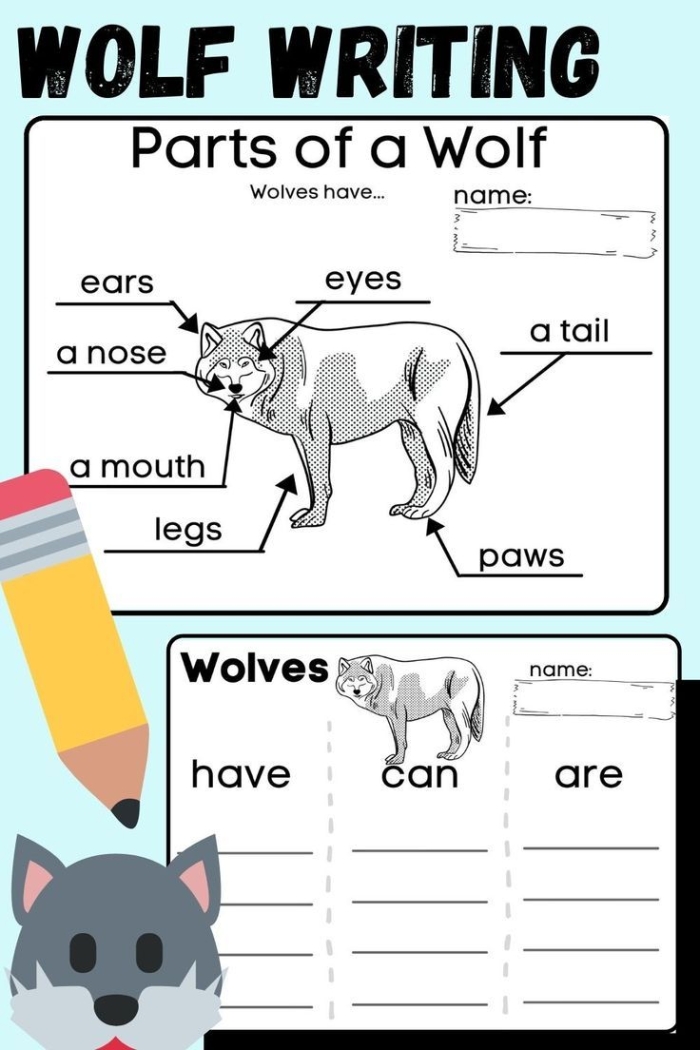 Third grade science worksheet featuring a wolf in Yellowstone National Park