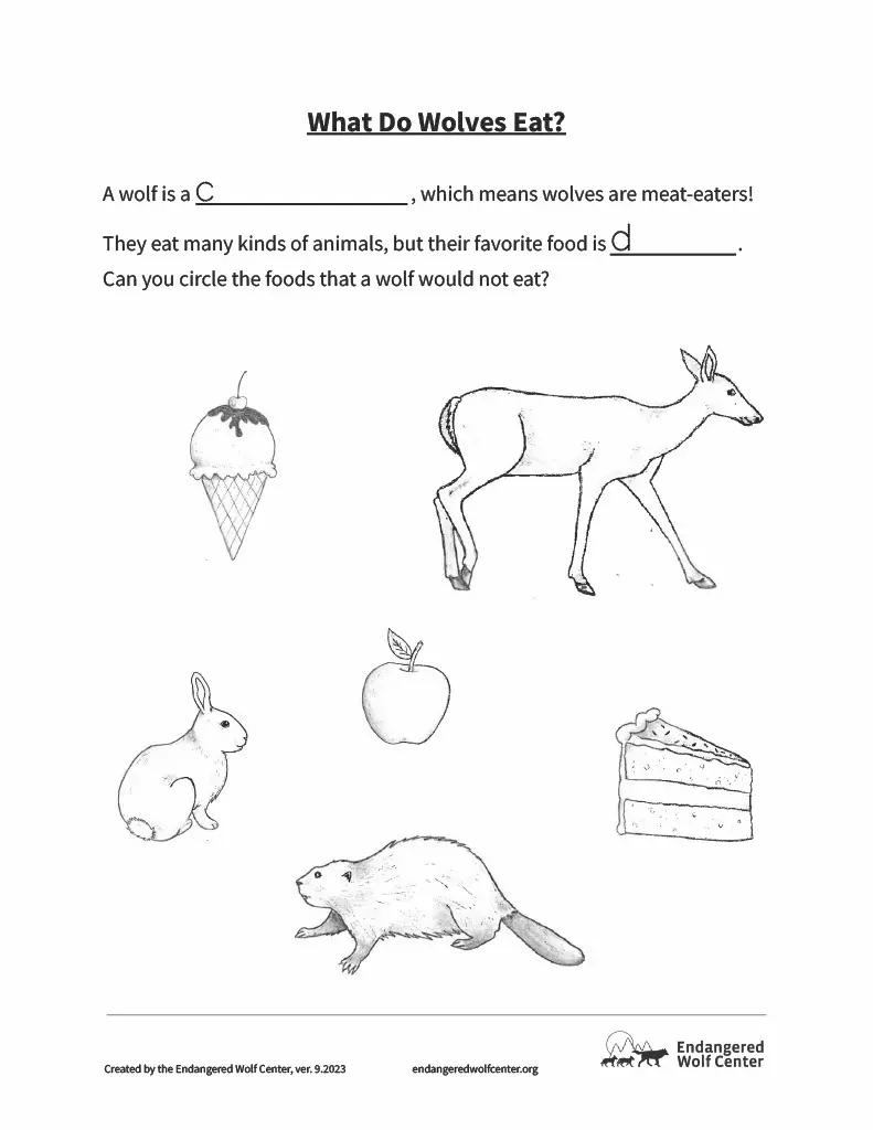 Wolf worksheet for third graders exploring the history of wolves in Yellowstone National Park