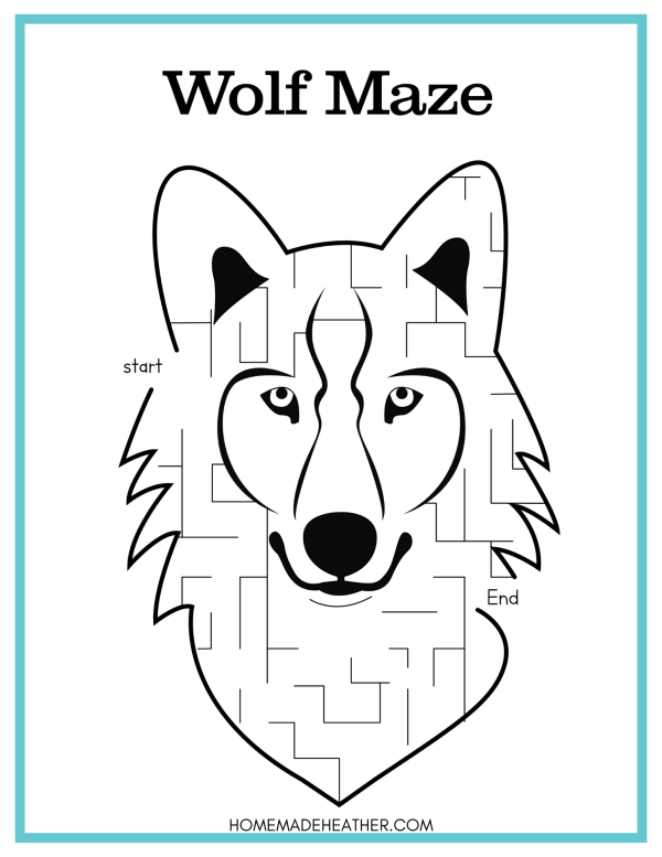 A third-grade worksheet featuring wolves and their history in Yellowstone National Park