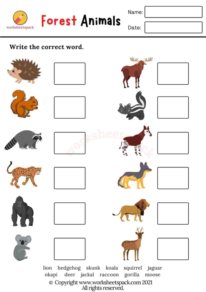 Kindergarten life science worksheet for matching woodland animals to their names