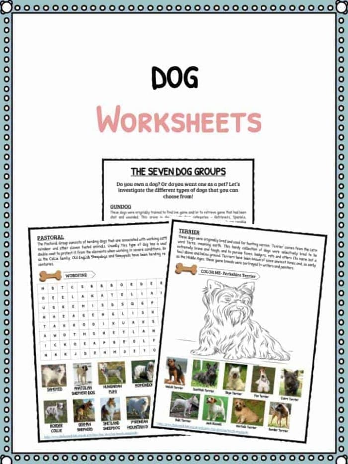 Illustration of various working dogs assisting humans in different roles