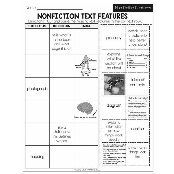 Worksheet for third graders focusing on comprehension through text and text features. Working Together: Text and Text Features activity for enhancing nonfiction reading skills.