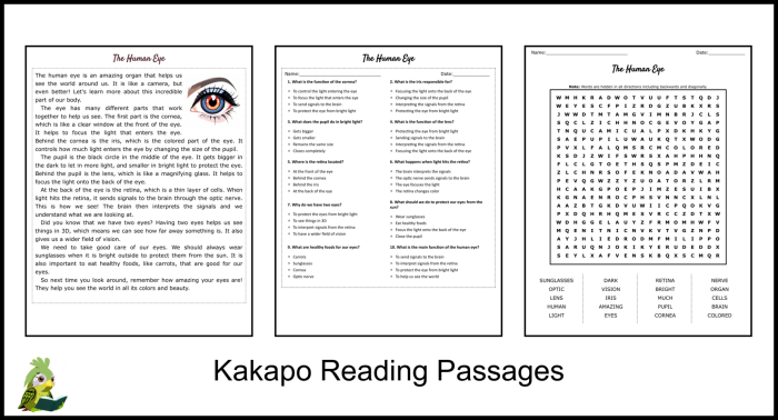 Worksheet for exploring different perspectives and understanding others' viewpoints