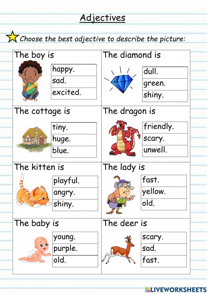 Sixth grade student worksheet showing a collection of descriptive adjectives organized by category for writing reference