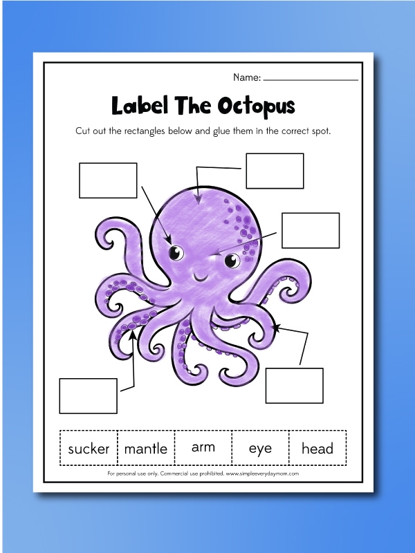 Worksheet for writing nonfiction summaries about the Mimic Octopus