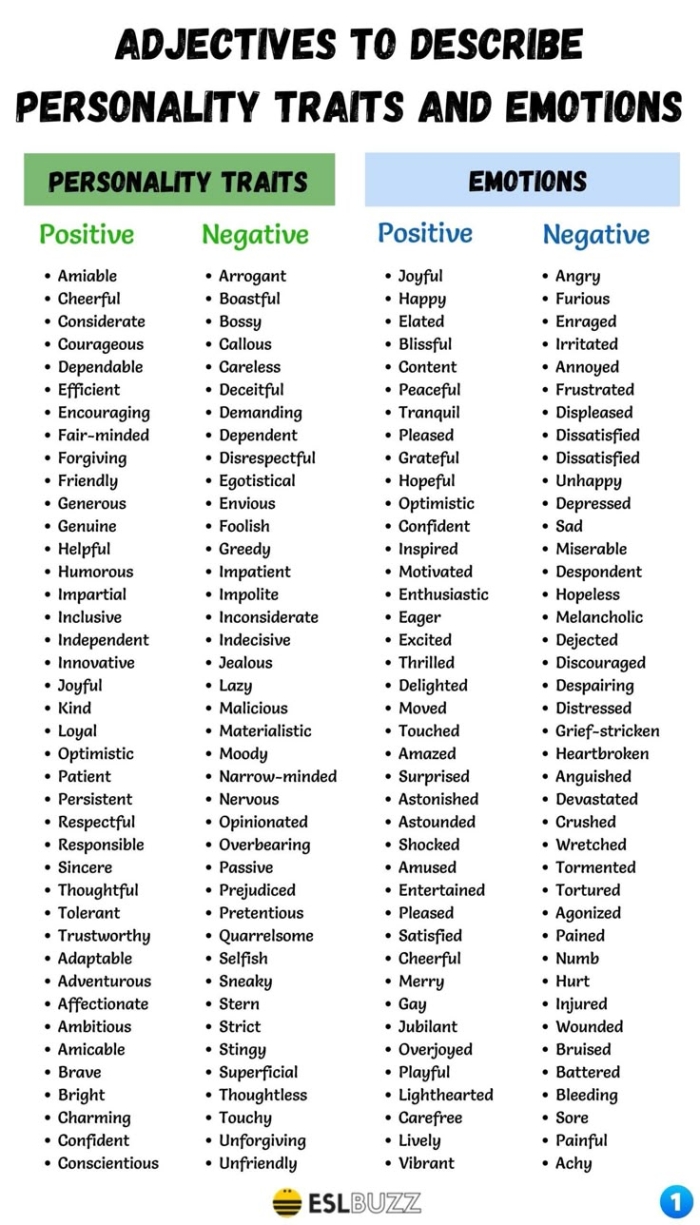 Engaging personality trait writing prompt worksheet for sixth-grade students Worksheet featuring a reflective writing prompt on personality traits for sixth graders