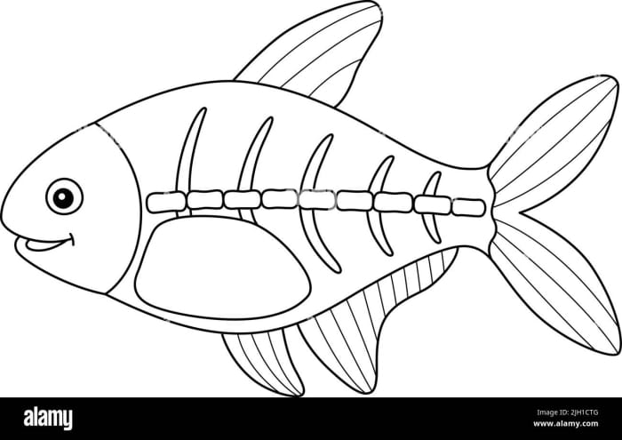 X is for X-Ray Fish Worksheet Letter Recognition Activity 7 Printable coloring page featuring an X-ray fish for alphabet letter practice