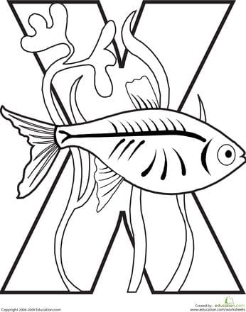 X is for X-Ray Fish Alphabet Coloring Activity 12 Pre-K worksheet featuring a friendly X-ray fish for children to color