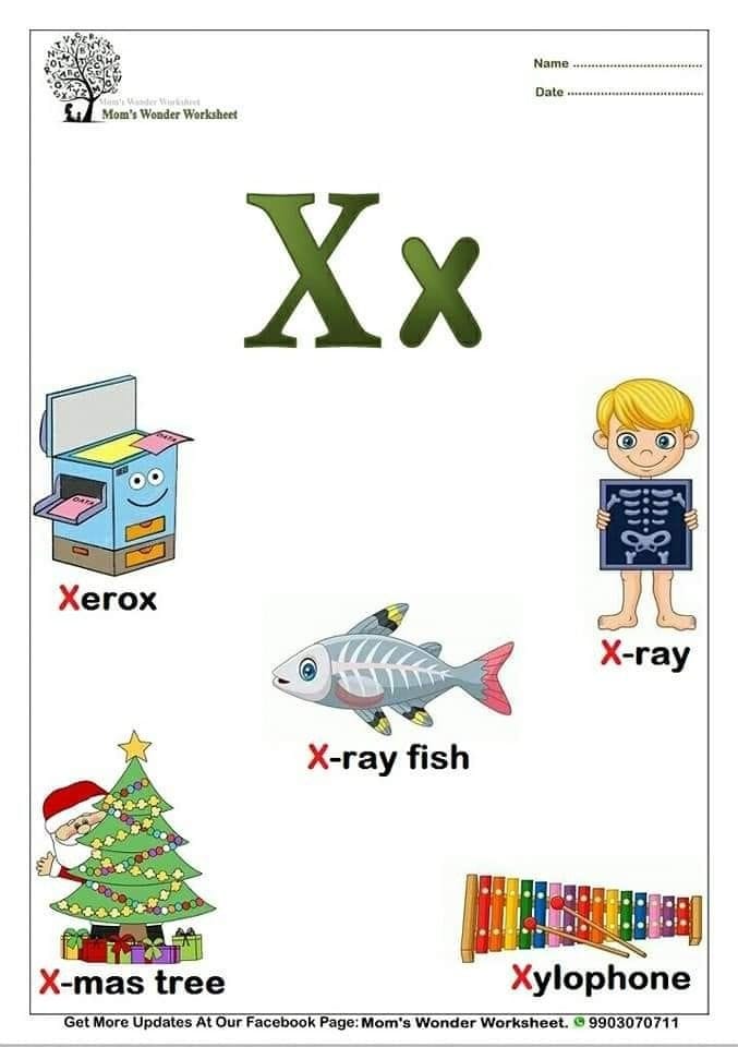 Fun worksheet featuring a see-through fish for kids to color creatively X-ray fish coloring worksheet for Pre-K students learning about the letter X