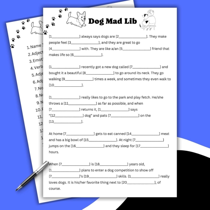 Zoo Mad Libs Worksheet 20 Addition Practice Second grade students completing a zoo themed Mad Libs parts of speech worksheet