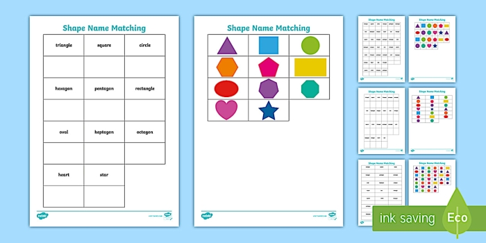 Name That Shape assessment activity with colorful 2D shapes for early learners to recognize and label Kindergarten student worksheet showing various 2D geometric shapes including circles, squares, triangles, and rectangles for shape identification practice