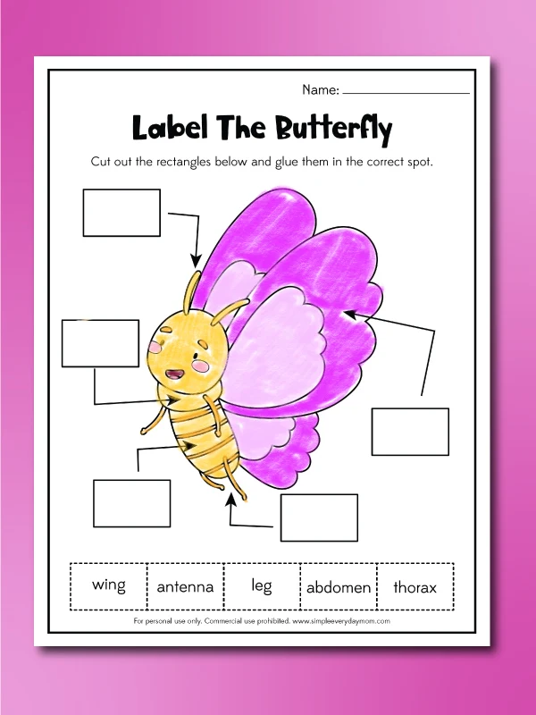 All About Butterflies worksheet for first graders featuring a butterfly diagram Illustration of a monarch butterfly diagram for a first grade subtraction worksheet