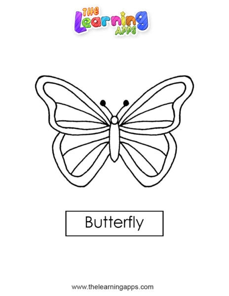 Worksheet image illustrating a monarch butterfly with sentences for students to complete Diagram of a monarch butterfly for the All About Butterflies subtraction worksheet for first graders