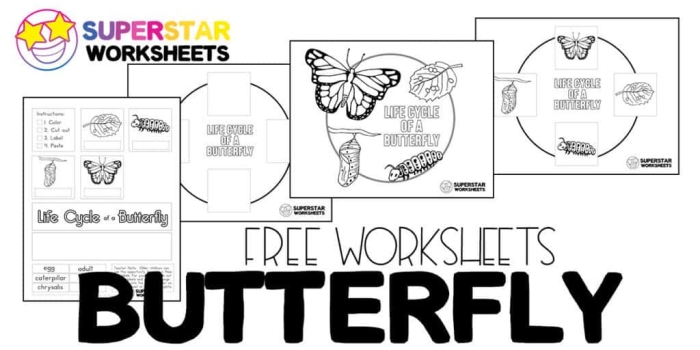 Subtraction worksheet for First Grade Colorful worksheet featuring a monarch butterfly diagram for first graders to learn about subtraction. All About Butterflies worksheet for practicing sentence completion and subtraction skills.