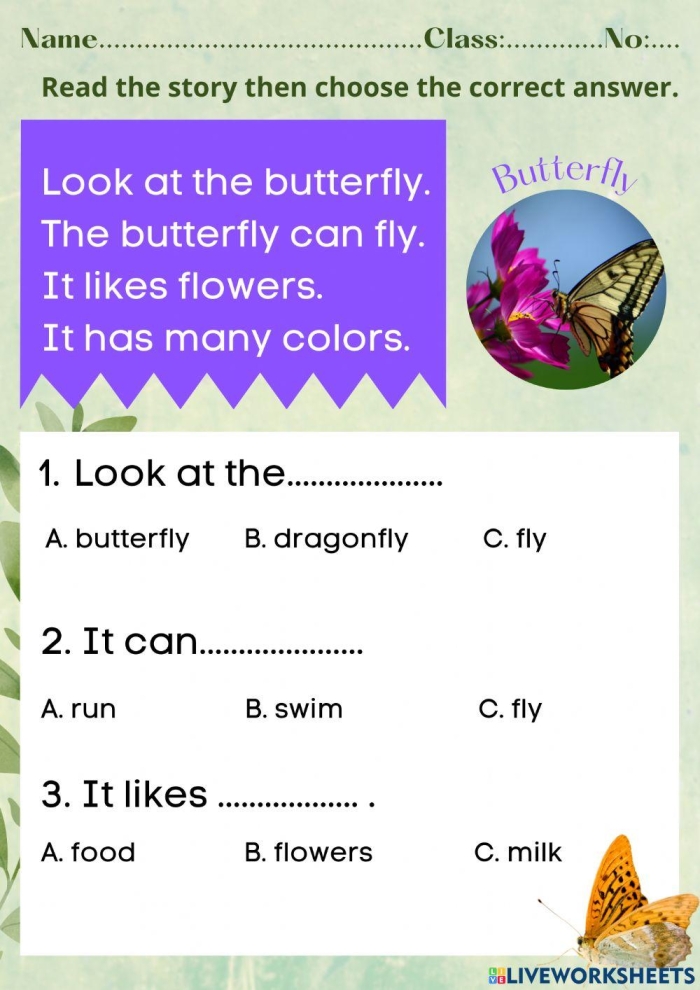 Subtraction worksheet for First Grade Colorful worksheet featuring a labeled diagram of a monarch butterfly for first-grade students to practice subtraction. Educational image illustrating the All About Butterflies worksheet aimed at young learners.