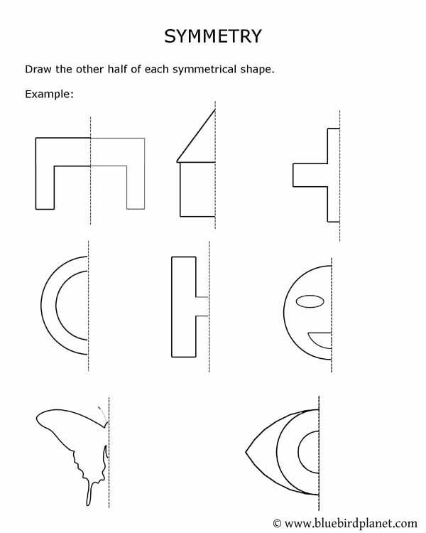 Third grade students practicing identifying lines of symmetry in letters on an Alphabet Symmetry worksheet