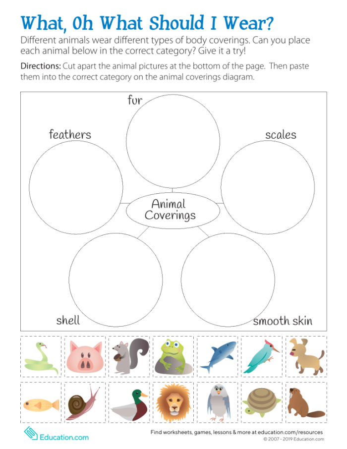 Image depicting various animal body coverings for a first-grade worksheet