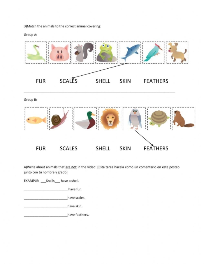 Animals with various body coverings for sorting activities