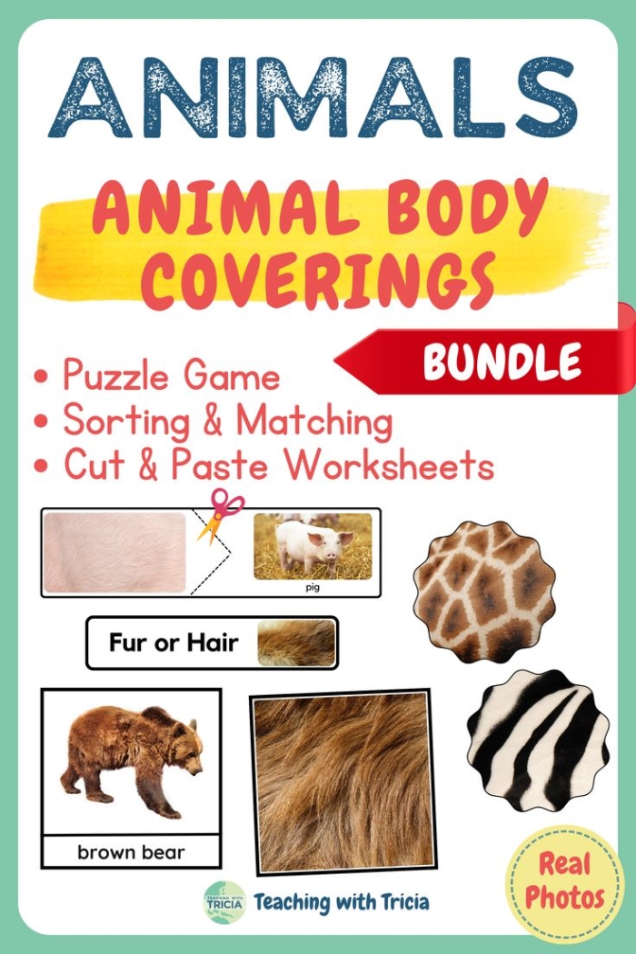 Children sorting animals by their body coverings for the Animal Body Coverings worksheet