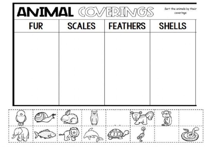 Illustration of various animals showcasing their unique body coverings for a worksheet activity
