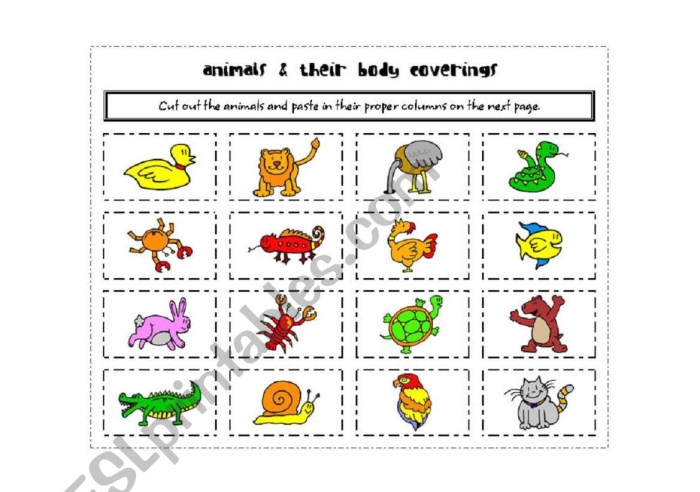 Colorful worksheet illustrating various animal body coverings for first graders