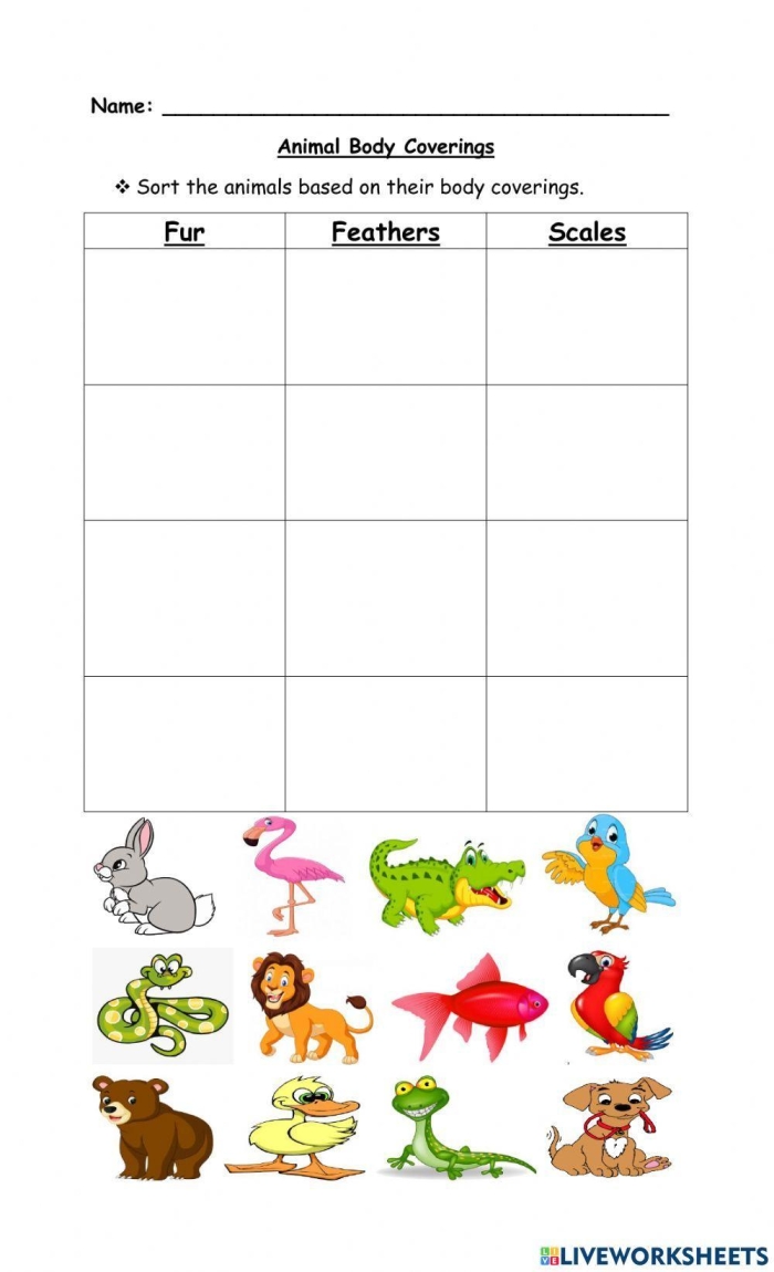 Colorful worksheet illustrating various animal body coverings for first graders