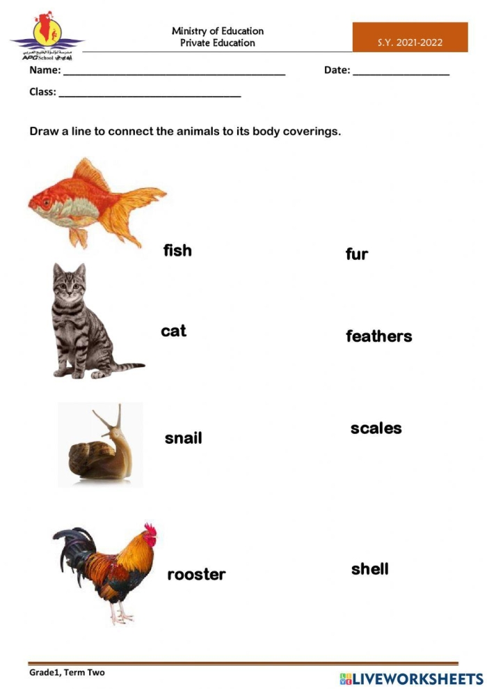 Animal Body Coverings worksheet for first graders showing various animals and their coverings