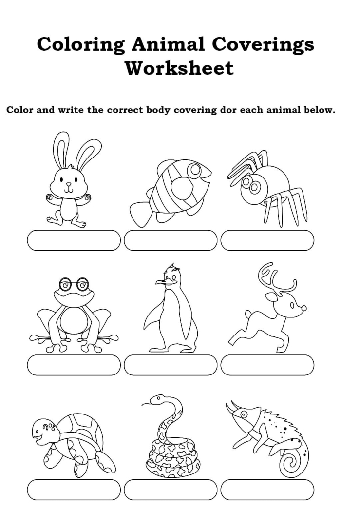 Colorful worksheet illustrating various animal body coverings for first graders