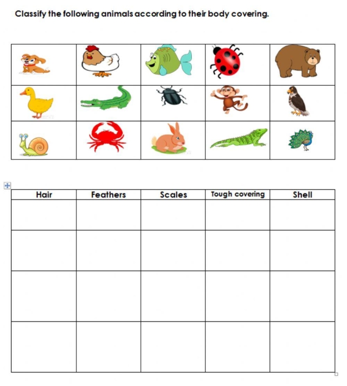 Colorful worksheet illustrating various animal body coverings for first graders