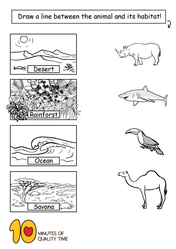 Animal Habitat Drawing Page worksheet for kindergarten students to learn about animal homes. Engaging illustration showing children matching animals to their habitats and drawing their favorites.