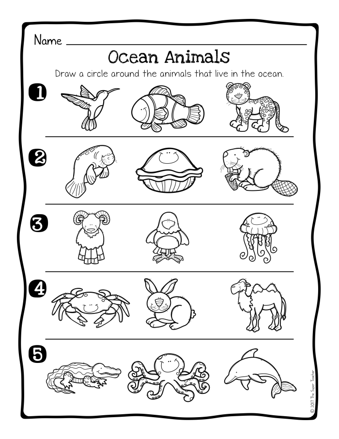 Animal Habitat Drawing Page worksheet for kindergarten students to learn about animal homes