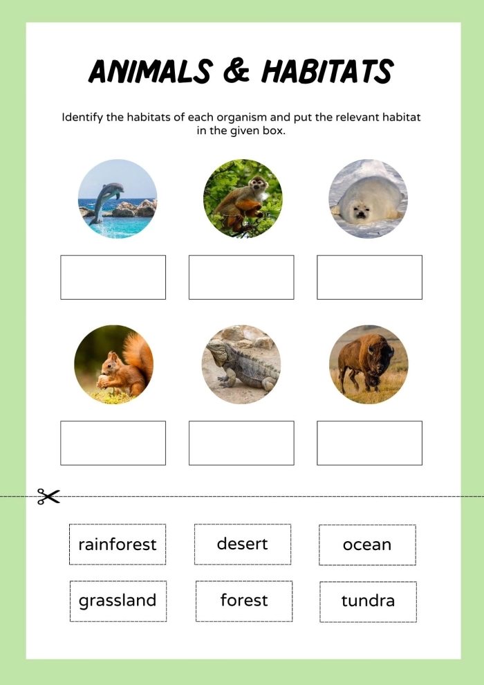 Animal Habitat Drawing Page worksheet for kindergarten students featuring animals and their habitats