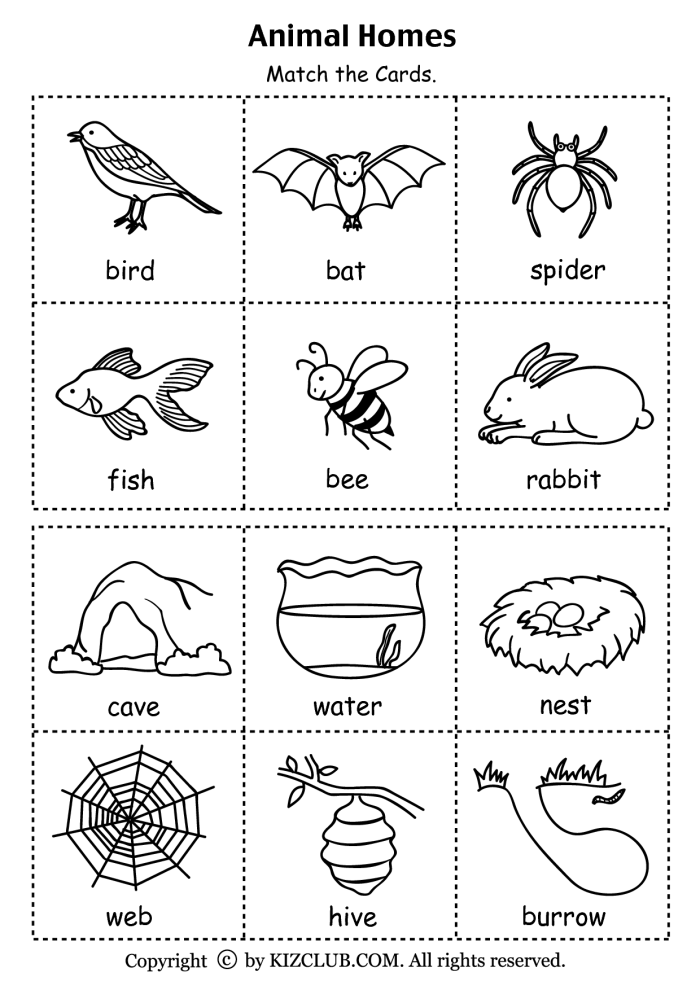 Animal Habitat Drawing Page worksheet for kindergarteners to learn about animal homes