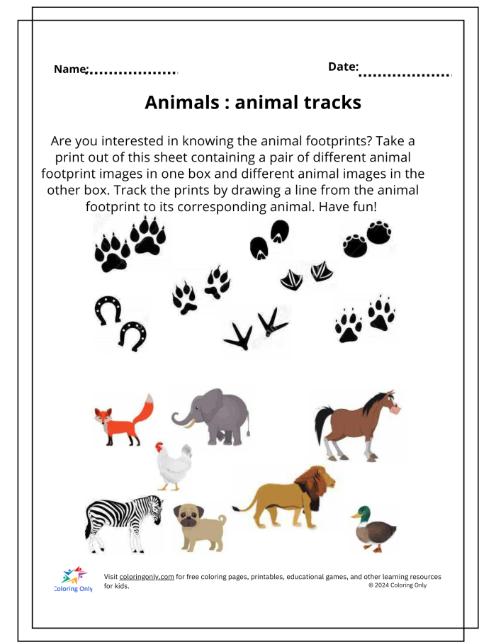 Third Grade worksheet showing North American animal tracks for matching activities