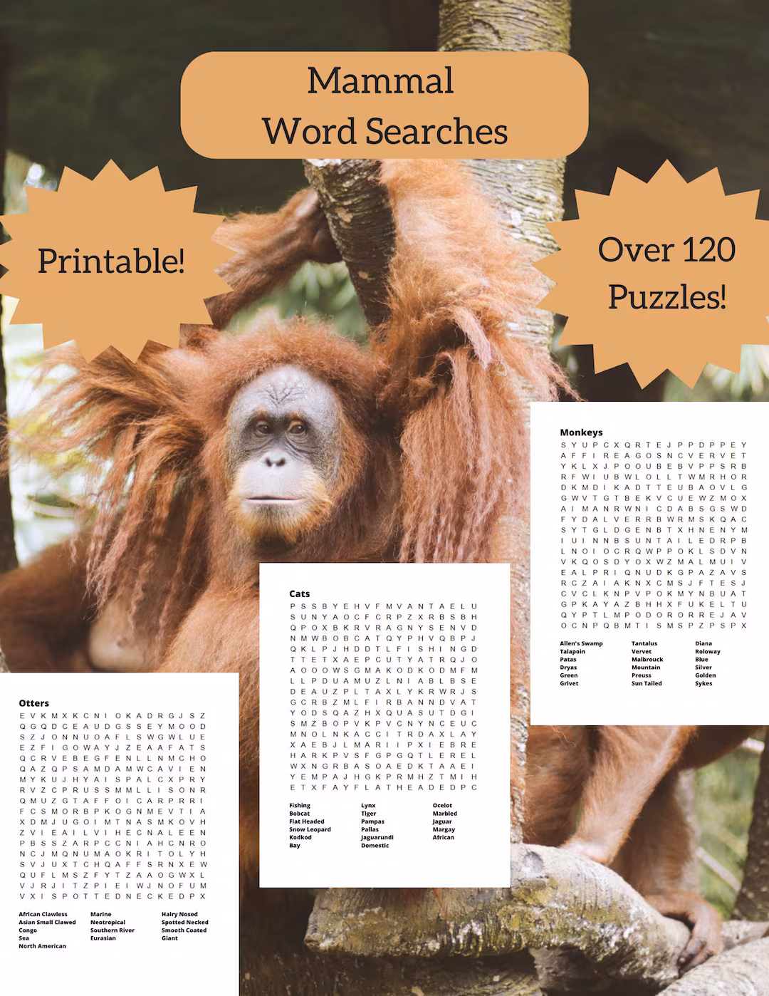 Animal Word Search worksheet featuring various mammals for second graders