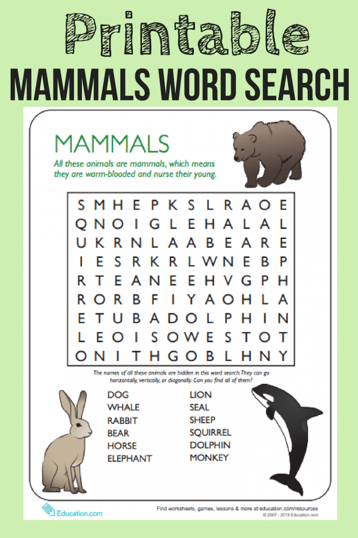 Colorful word search featuring mammals for kids