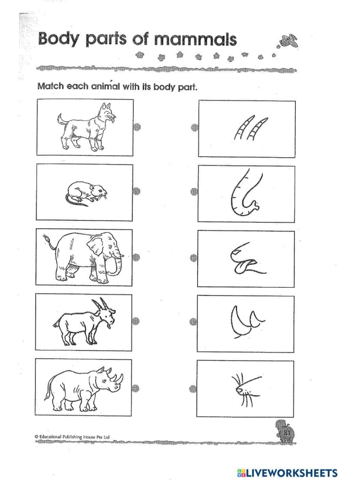 Colorful Animal Word Search worksheet featuring mammals for second graders