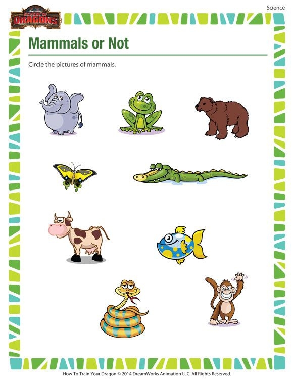 Animal Word Search featuring various mammals for young learners