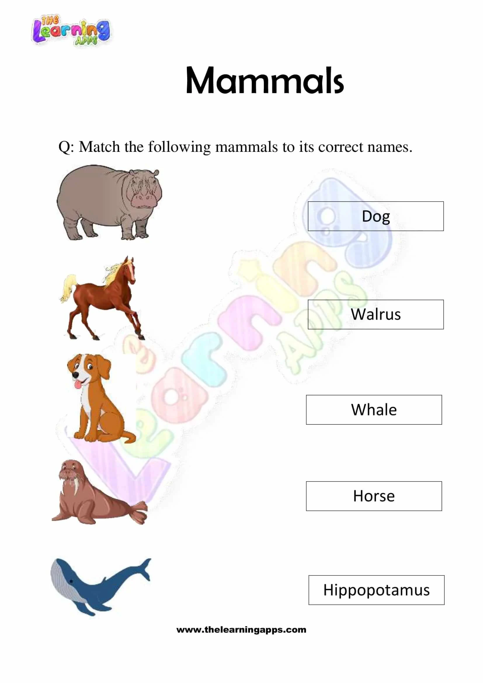 Colorful Animal Word Search worksheet featuring mammals for second graders