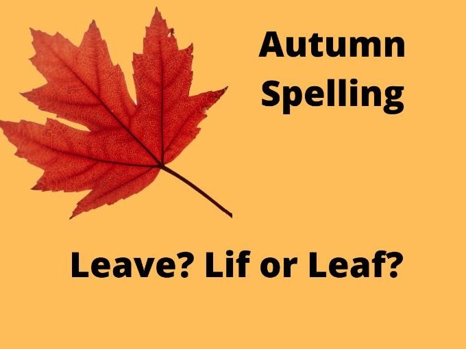 Autumn spelling activity for second graders focusing on correct word choices in a fun exercise Second grade student completing an autumn-themed spelling worksheet with fall vocabulary